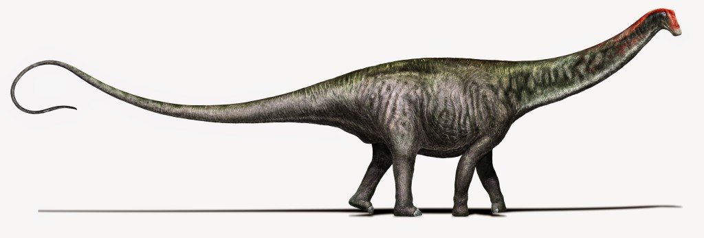 Life restoration: “Brontosaurus as researchers see it today – with a Diplodocus-like head” Credit: Davide Bonadonna, Milan, Italy. Creative commons license CC- BY NC SA.