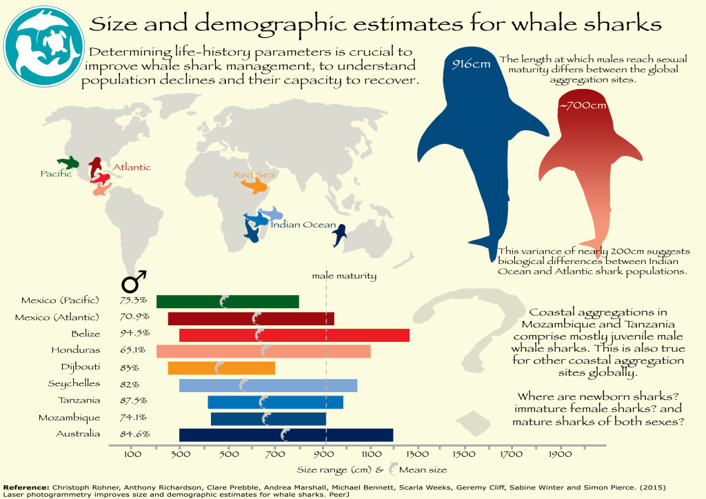 photogrammetry infograph FINAL