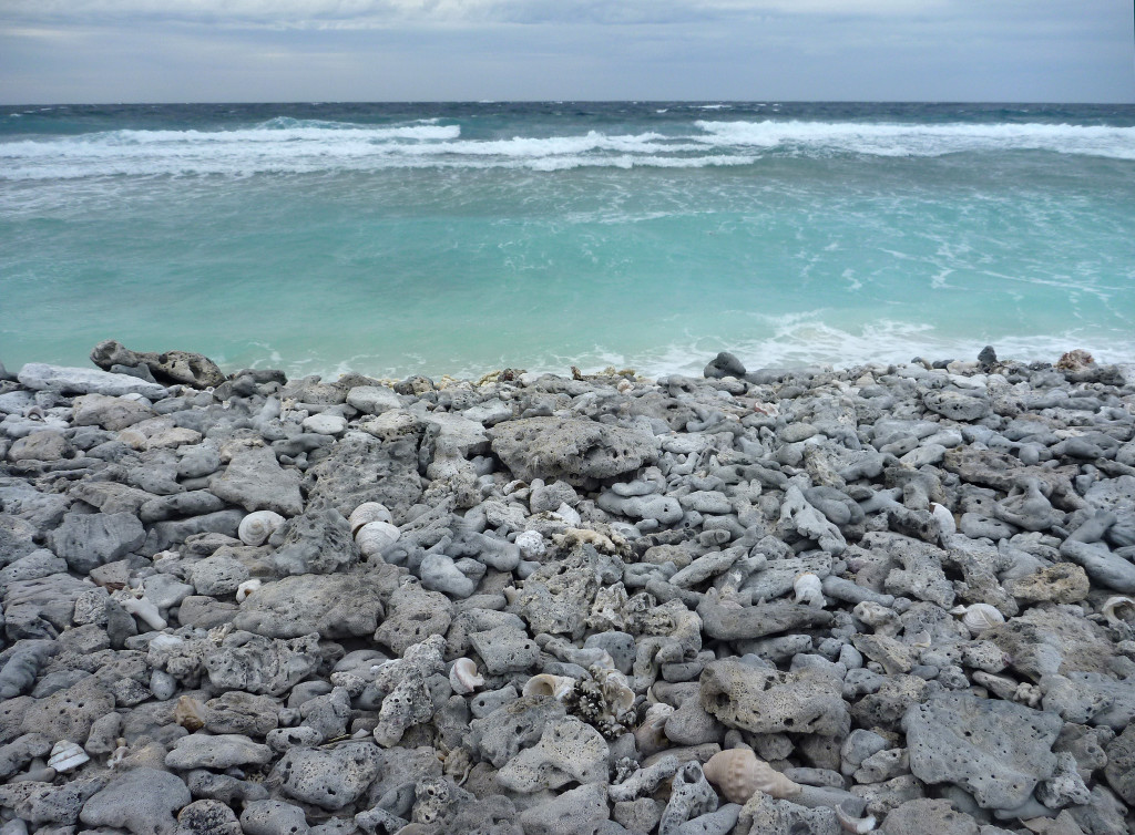 Pelsaert Island, Houtman Abrolhos Islands