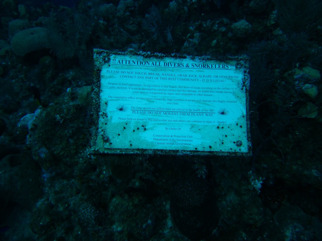 sea urchin sign