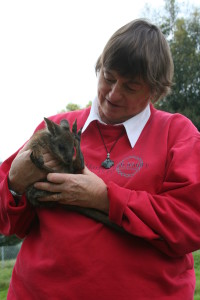 PeerJ Advisory Board Member Professor Marilyn Renfree, University Laureate Professor and Ian Potter Chair of Zoology at the University of Melbourne