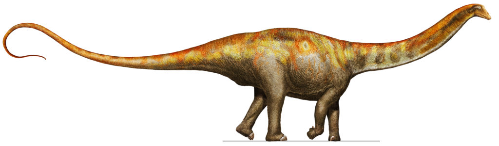 kotasaurus