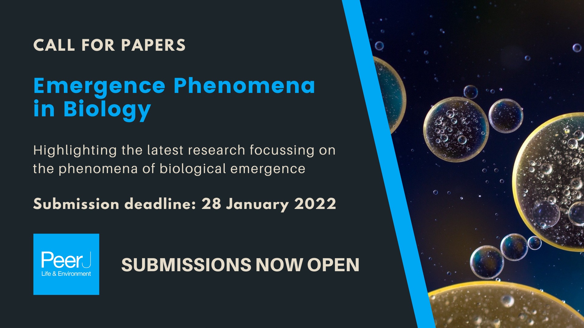 Call for Papers: Emergence Phenomena in Biology