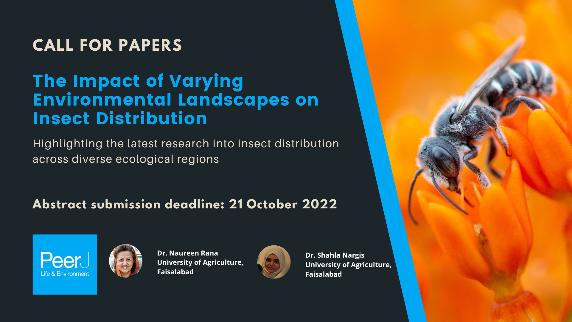 Call for Papers: The Impact of Varying Environmental Landscapes on Insect Distribution