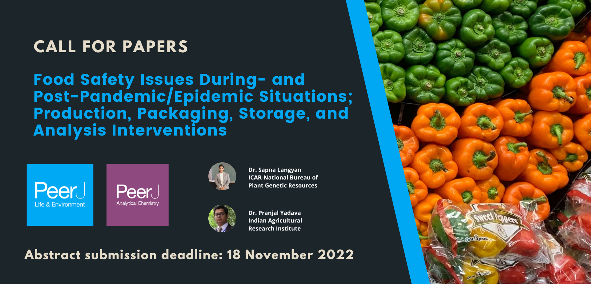 Call for Papers: Food Safety Issues During- and Post-Pandemic/Epidemic Situations; Production, Packaging, Storage, and Analysis Interventions