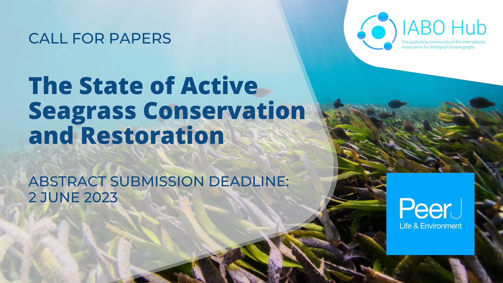 Call for Papers: The State of Active Seagrass Conservation and Restoration