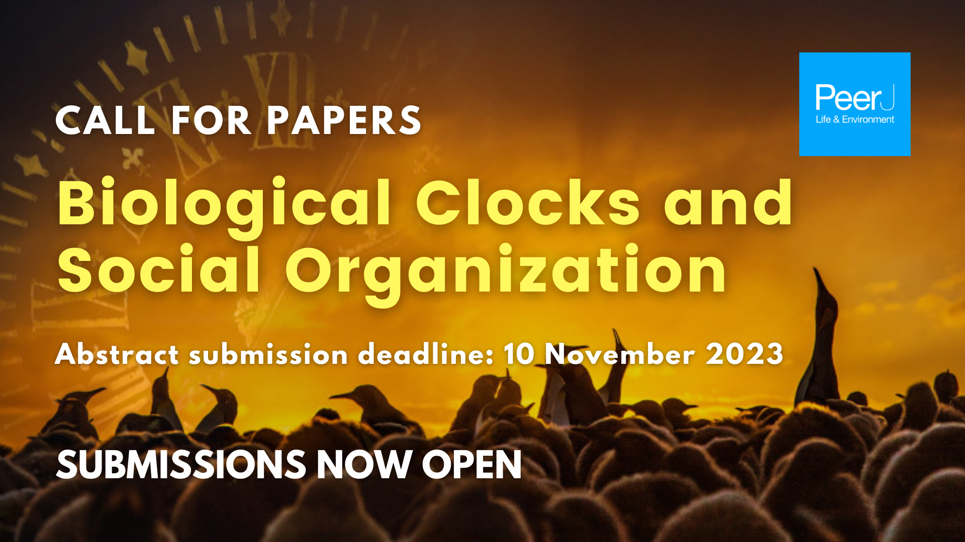 Call for Papers: Biological Clocks and Social Organization