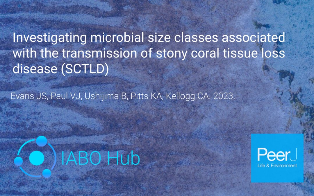 Author Interview: Investigating microbial size classes associated with the transmission of stony coral tissue loss disease (SCTLD)