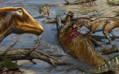 Article Spotlight: Bite and tooth marks on sauropod dinosaurs from the Morrison Formation