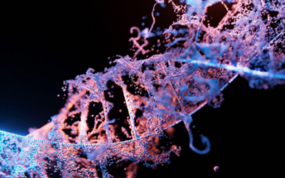 Article Spotlight: Dark kinase annotation, mining, and visualization using the Protein Kinase Ontology