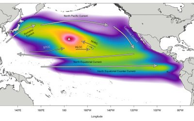 Article Spotlight: A predictive framework for identifying source populations of non-native marine macroalgae