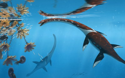 Article Spotlight: An unusual early-diverging plesiosauroid