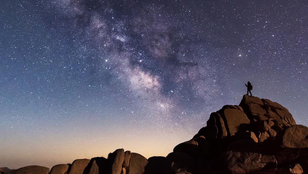 PeerJ expands its scope and introduces a refreshed website experience